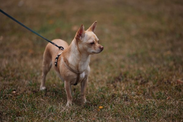 Prendas de moda imprescindibles que están dando forma al futuro